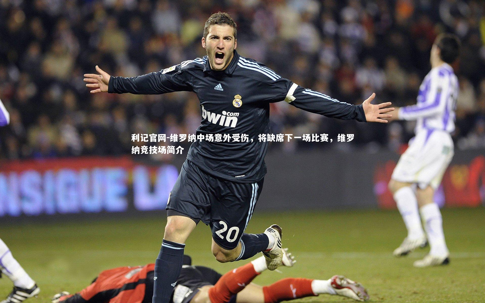 维罗纳中场意外受伤，将缺席下一场比赛，维罗纳竞技场简介